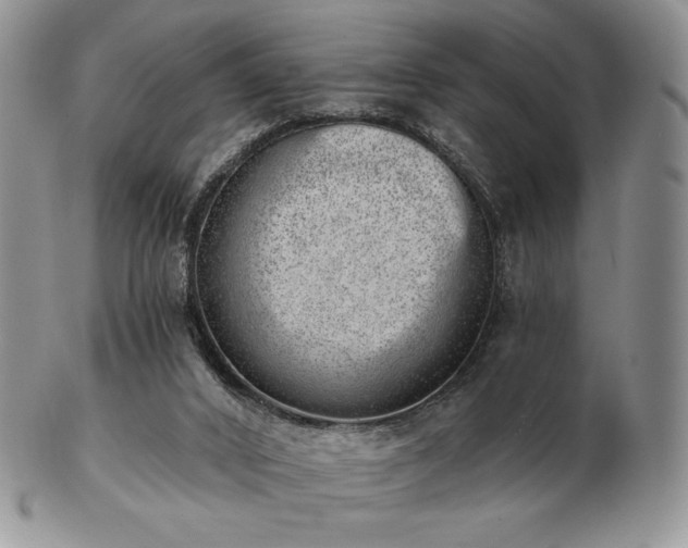 X0000102870016200808251252