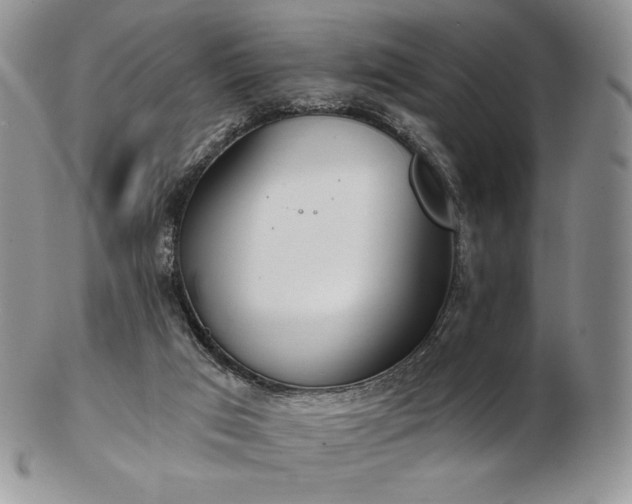 X0000102870017200808251252