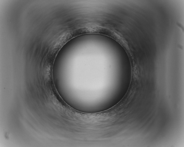 X0000102870018200808251252