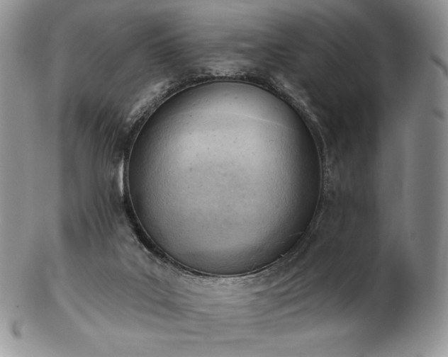 X0000102870019200808251252