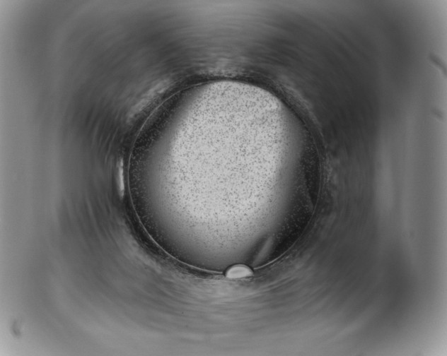 X0000102870020200808251252