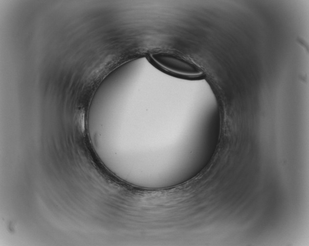 X0000102870021200808251252