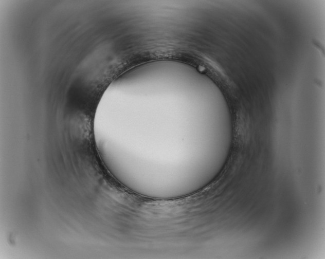 X0000102870025200808251252