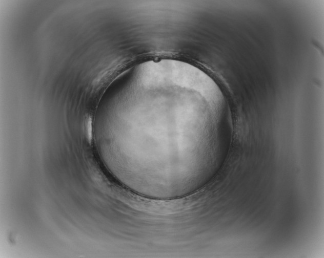 X0000102870027200808251252