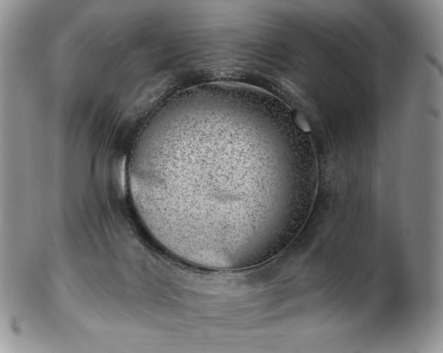 X0000102870028200808251252