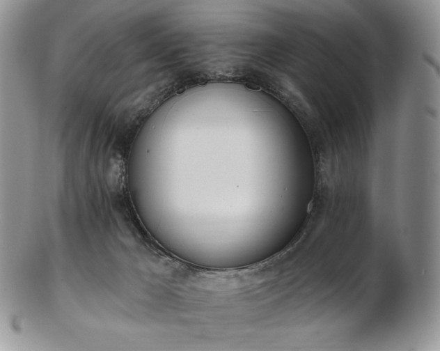 X0000102870029200808251252