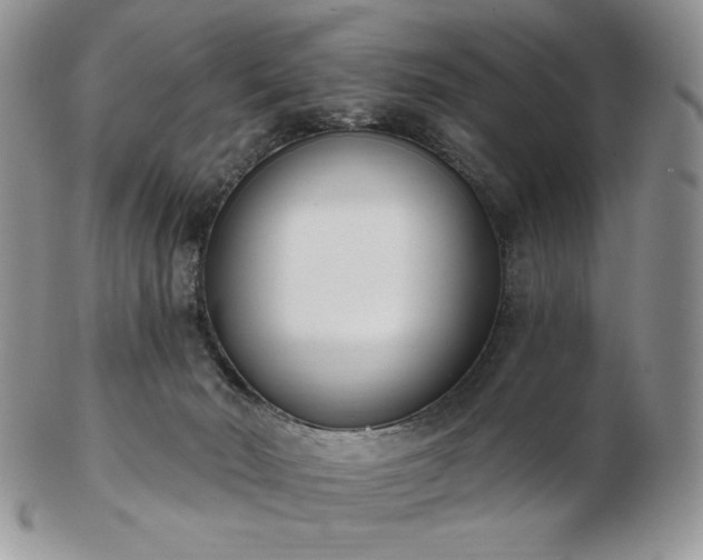 X0000102870030200808251252