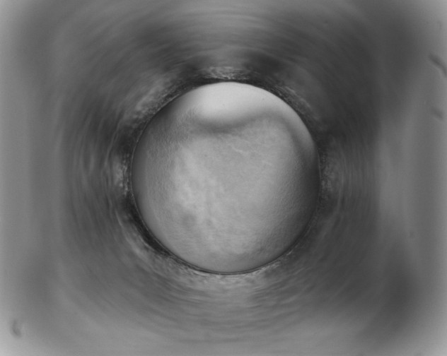 X0000102870031200808251252