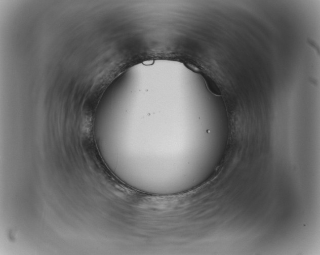 X0000102870033200808251252