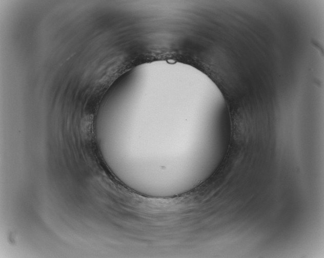 X0000102870034200808251252