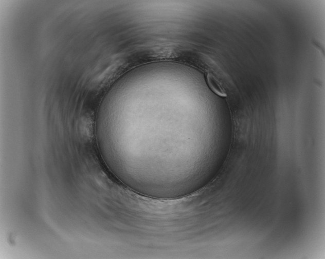 X0000102870035200808251252