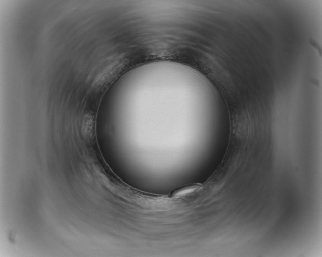 X0000102870036200808251252