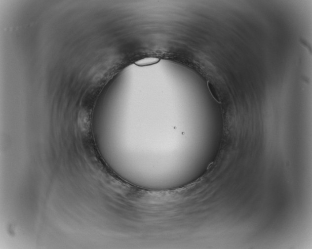 X0000102870037200808251251