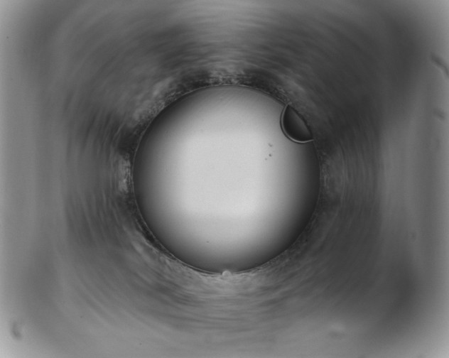 X0000102870038200808251251