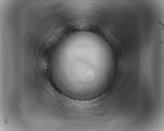 X0000102870039200808251251