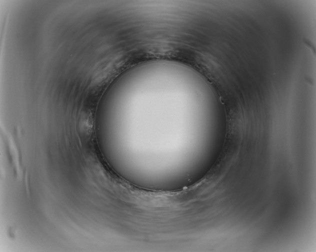 X0000102870040200808251251