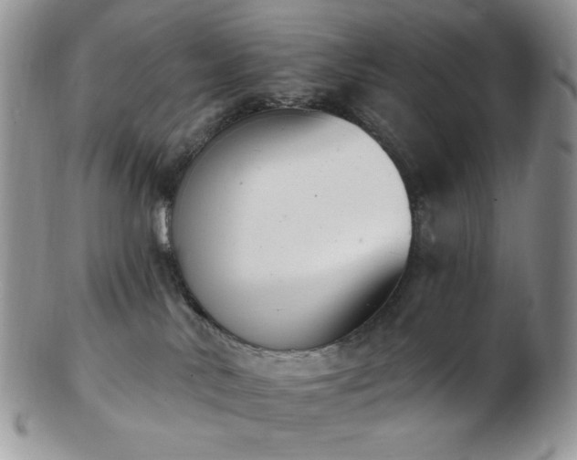 X0000102870042200808251251