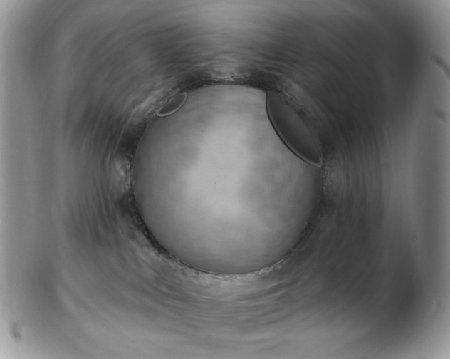 X0000102870043200808251251