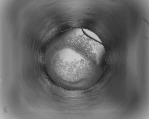 X0000102870044200808251251