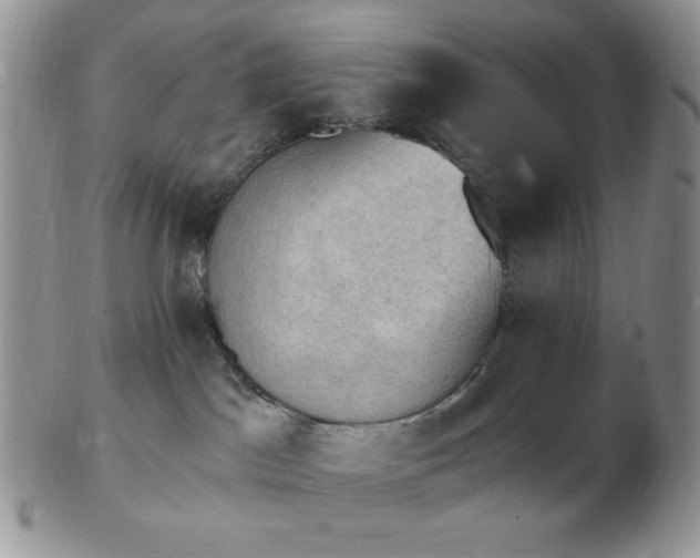 X0000102870045200808251251