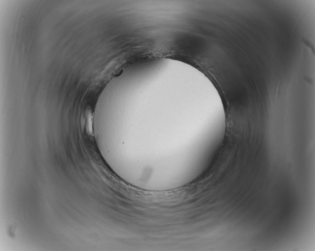 X0000102870046200808251251