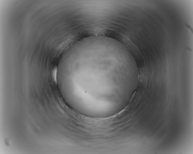 X0000102870047200808251251