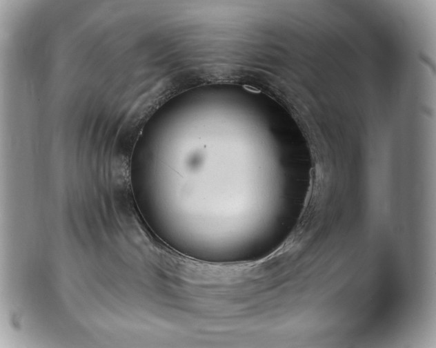 X0000102870048200808251251