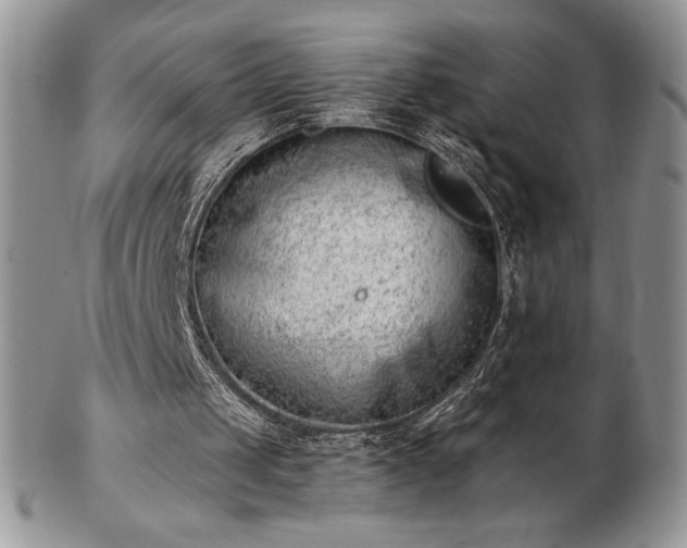 X0000102870049200808251250