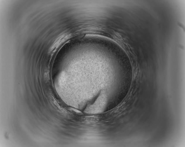 X0000102870050200808251250