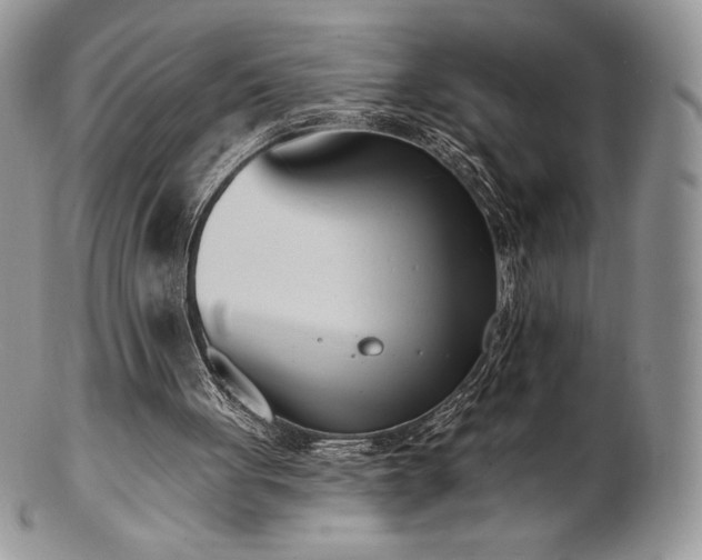 X0000102870051200808251250