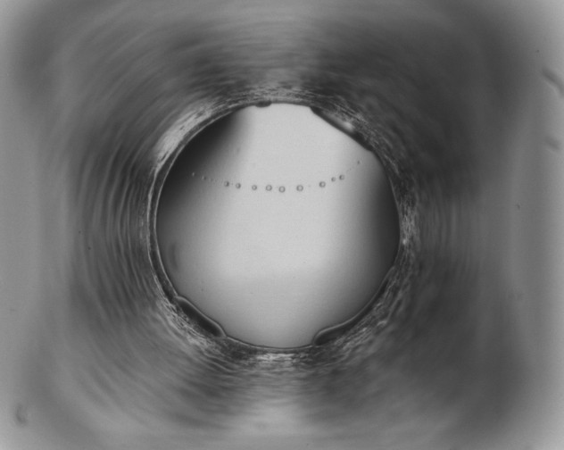 X0000102870052200808251250