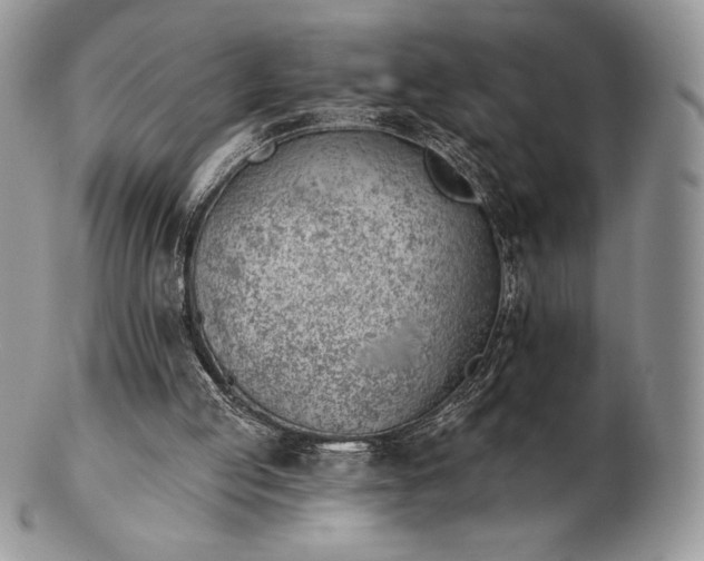 X0000102870053200808251251