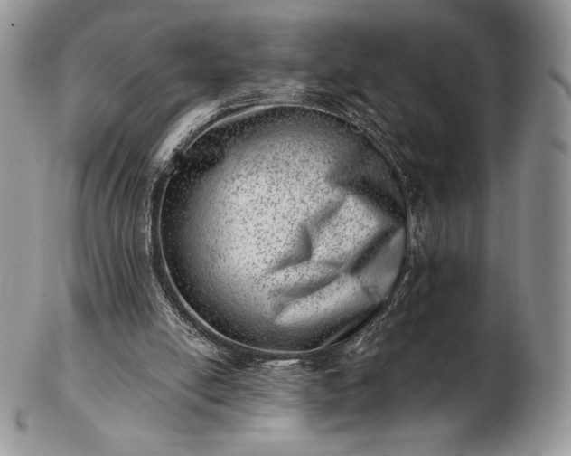 X0000102870054200808251251