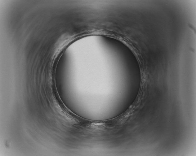 X0000102870055200808251251