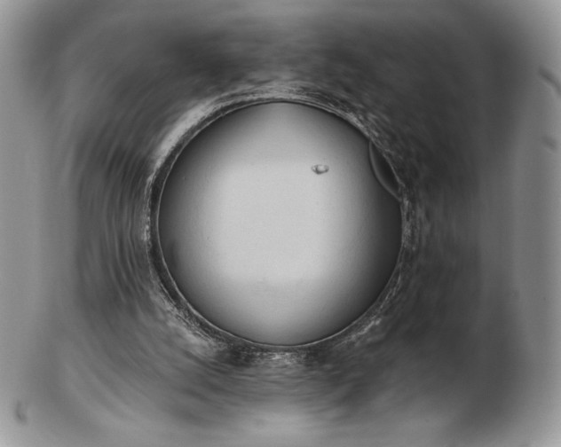 X0000102870056200808251251