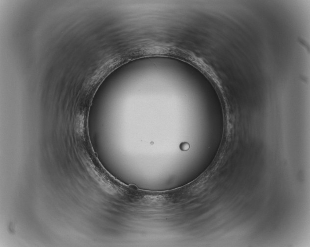 X0000102870057200808251251