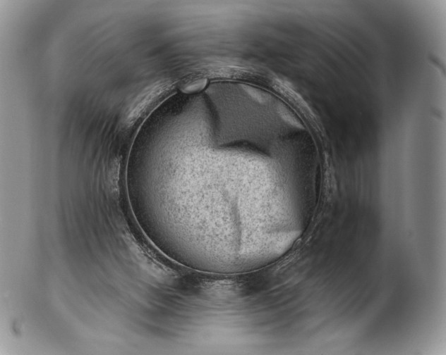 X0000102870058200808251251