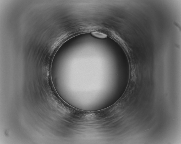 X0000102870059200808251251