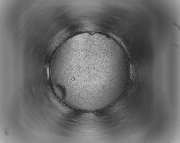 X0000102870061200808251251