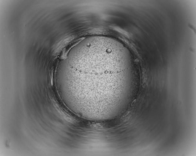 X0000102870062200808251251