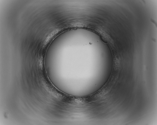 X0000102870064200808251251