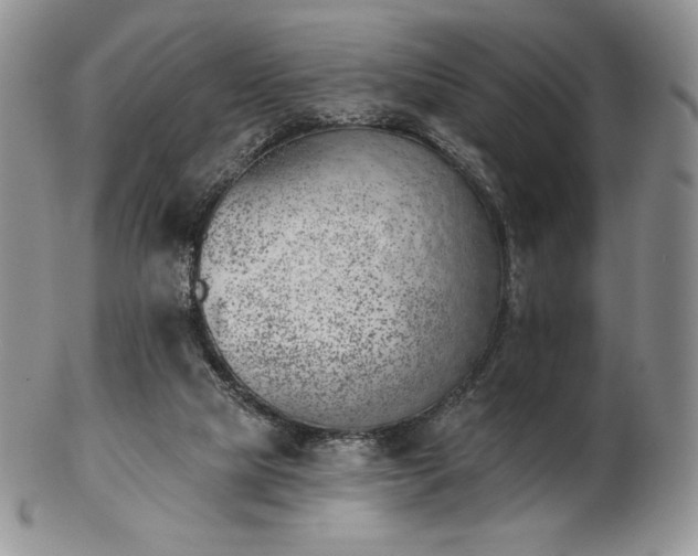 X0000102870065200808251251