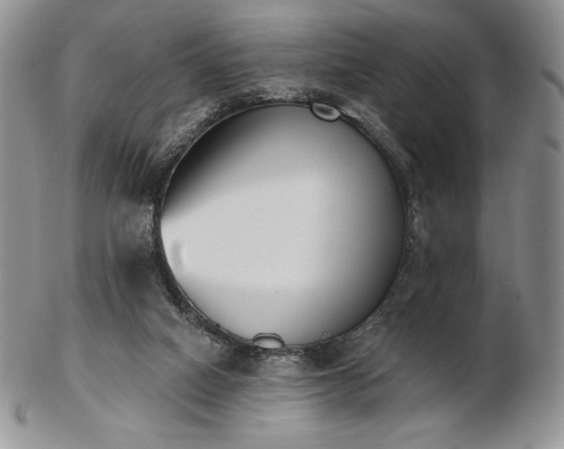 X0000102870066200808251251