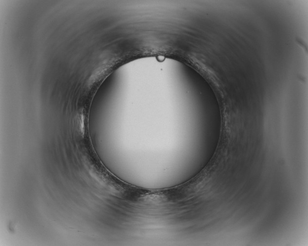 X0000102870067200808251251