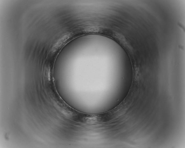 X0000102870068200808251251