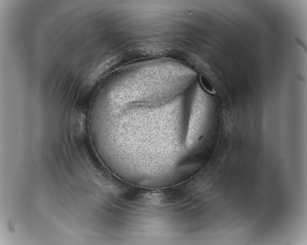 X0000102870071200808251251