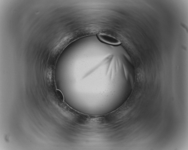 X0000102870072200808251251