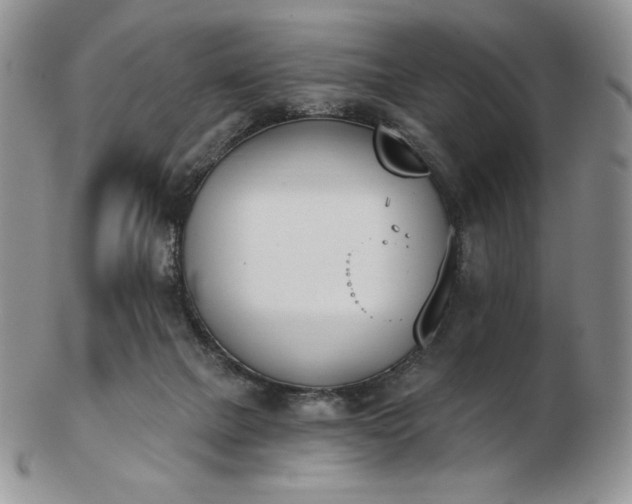 X0000102870073200808251251