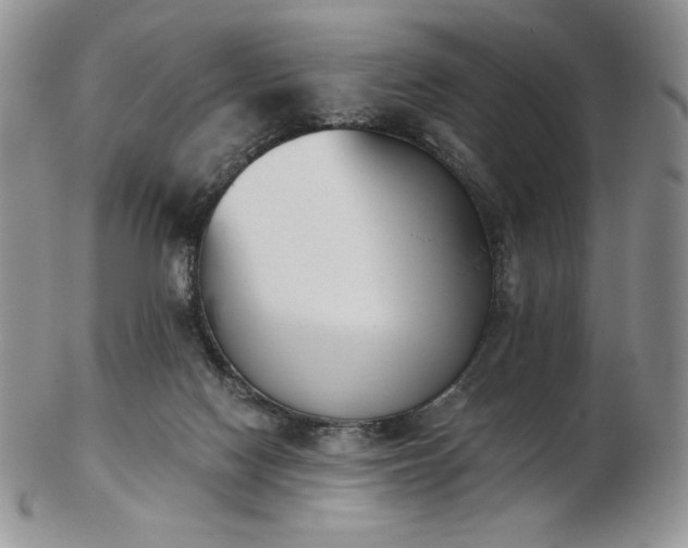 X0000102870074200808251251