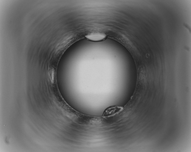 X0000102870076200808251251